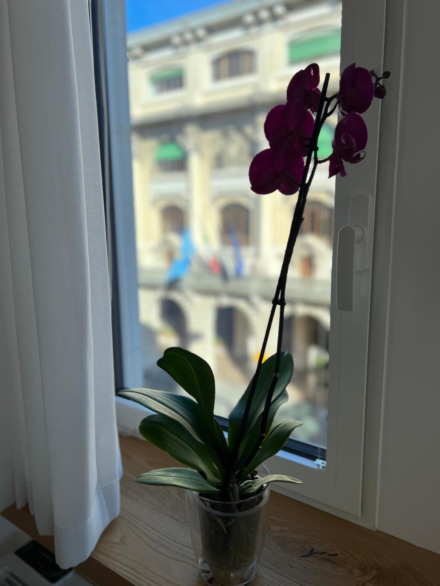 Conte Cavour Apartment Udine Bagian luar foto